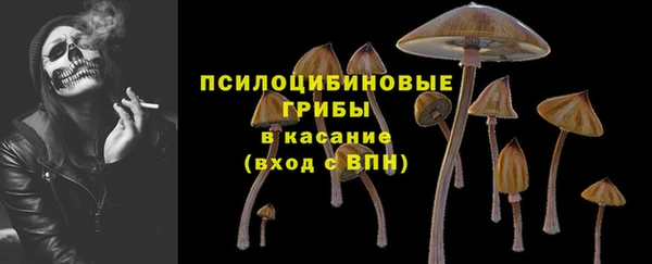 не бодяженный Верхний Тагил