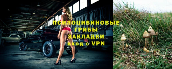 не бодяженный Верхний Тагил