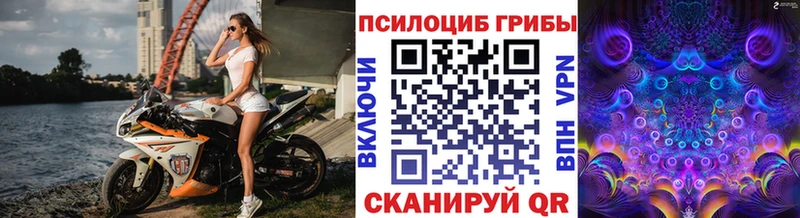 Псилоцибиновые грибы Psilocybine cubensis  Купить где  Анжеро-Судженск 